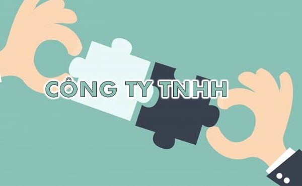 Ai không được thành lập công ty TNHH hai thành viên?