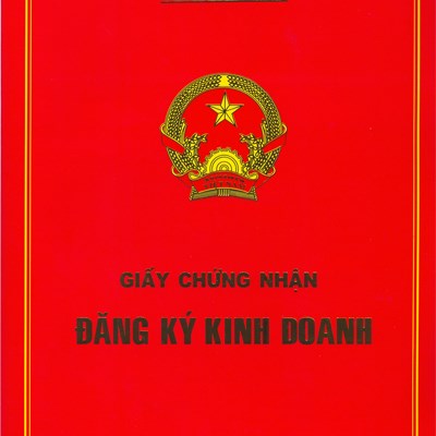 Cấp lại giấy chứng nhận đăng ký doanh nghiệp