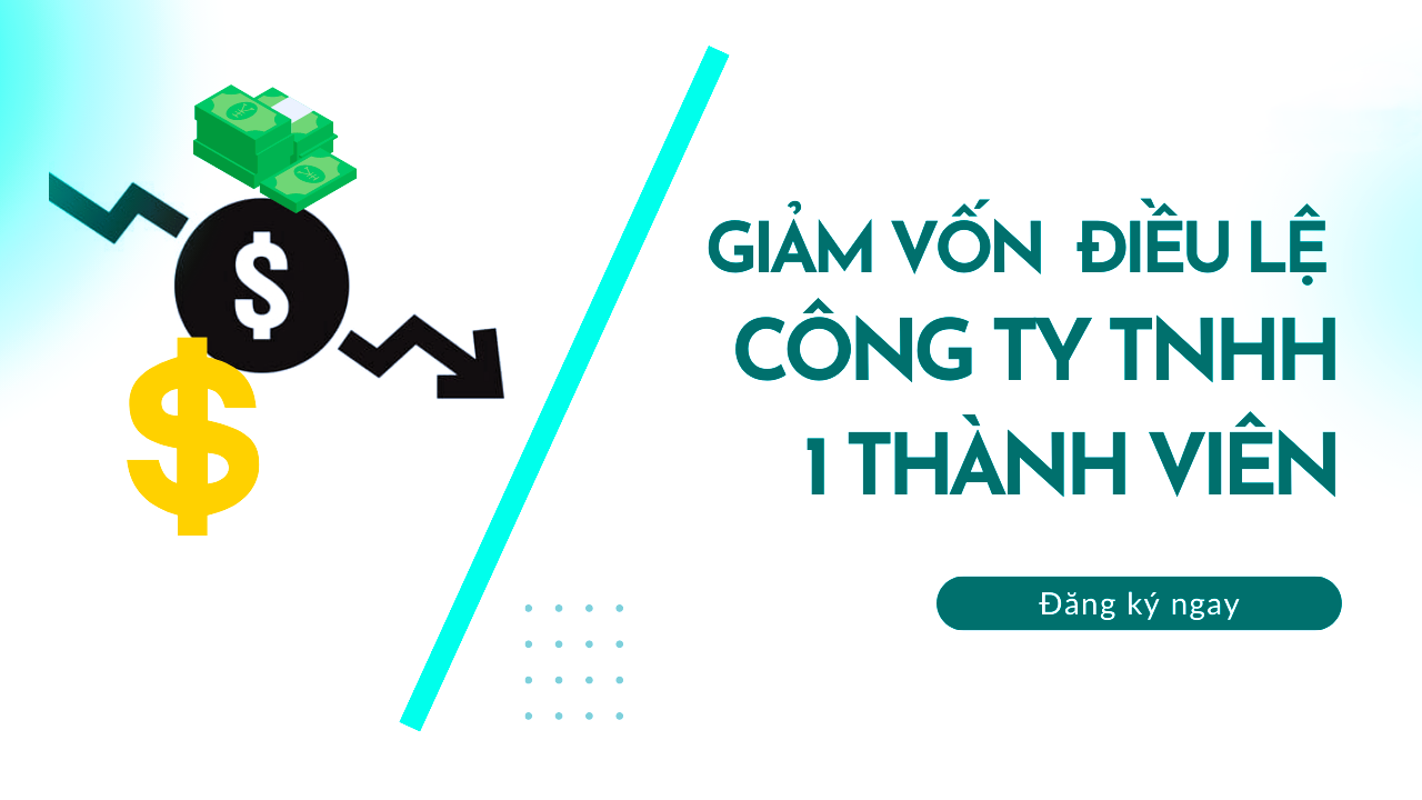 Tại sao công ty TNHH 1 thành viên không được giảm vốn điều lệ?