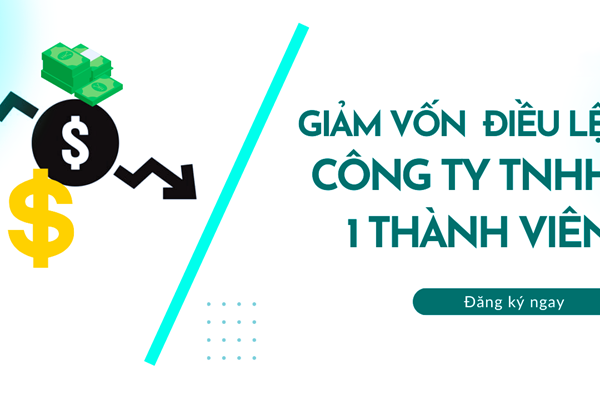 Tại sao công ty TNHH 1 thành viên không được giảm vốn điều lệ?