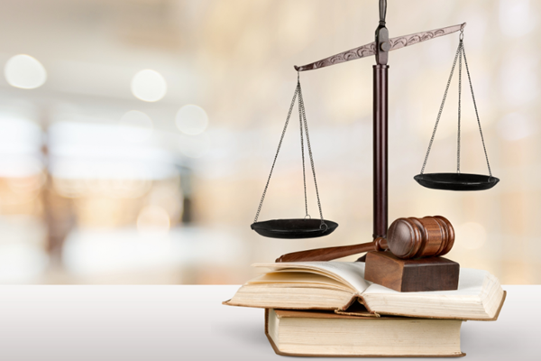 Những Luật và Pháp lệnh có hiệu lực từ 01/7/2025