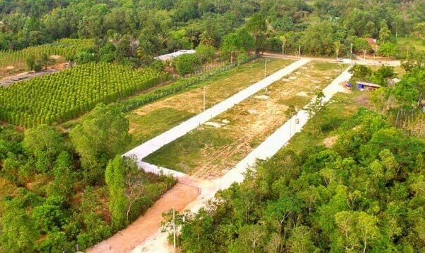 Đất trồng cây lâu năm lên thổ cư cần điều kiện, thủ tục ra sao?