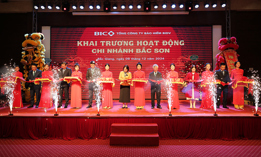 Thành lập chi nhánh công ty bảo hiểm nước ngoài tại Việt Nam