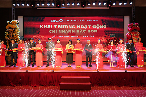 Thành lập chi nhánh công ty bảo hiểm nước ngoài tại Việt Nam