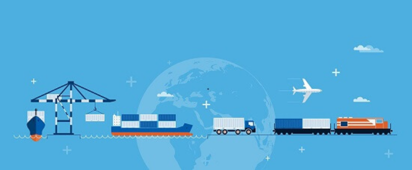 Thẩm quyền cấp phép nhập khẩu tranh