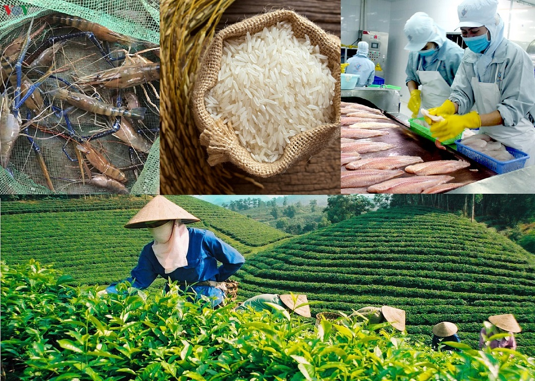 Các chỉ dẫn địa lý ở Việt Nam