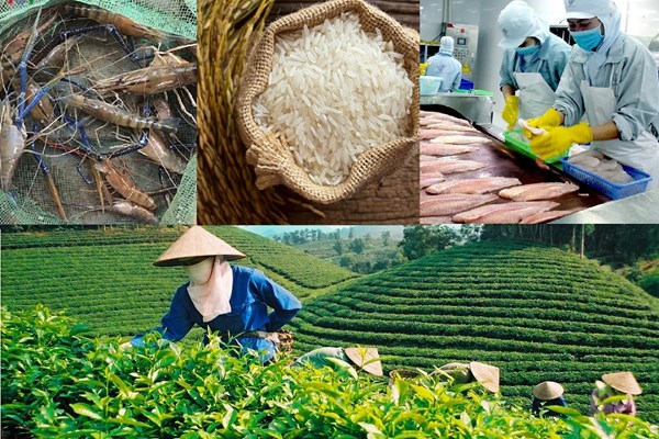 Các chỉ dẫn địa lý ở Việt Nam