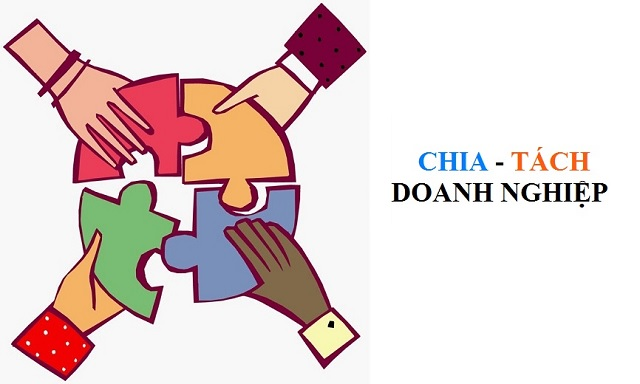 Ví dụ chia doanh nghiệp ở Việt Nam